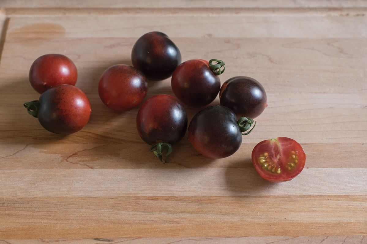 Indigo Cherry Drops – Organic Tomato Seed